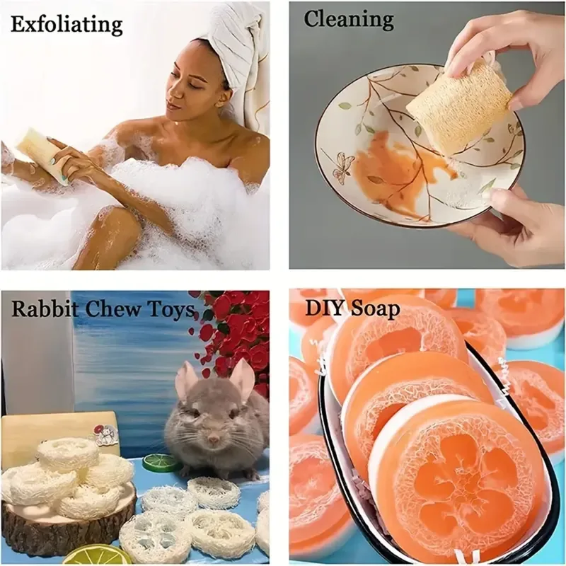 Natural Egyptian Loofah Exfoli - Exfoliating Scrub Mens recension och pris